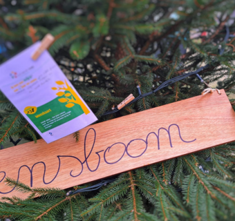 Wensboom met kaartjes en een houten bord met het woord “Wensboom”.